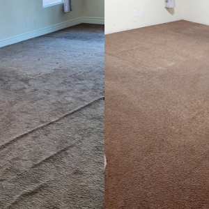 Photo of Green Source Carpet Care
