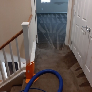 Photo of Green Source Carpet Care
