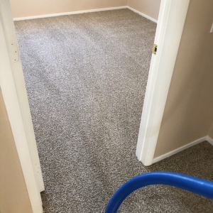 Photo of Green Source Carpet Care