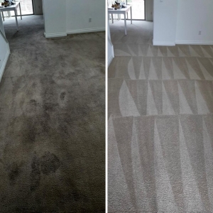 Photo of Green Source Carpet Care