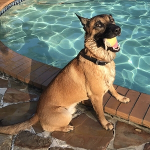 Photo of Tuttle's Pool Company