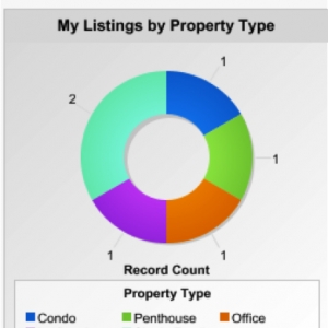 Photo of My Custom CRM