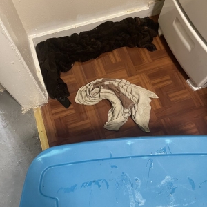Photo of Fat Property