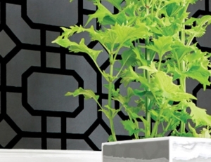 Photo of Rachel Brosky Interiors