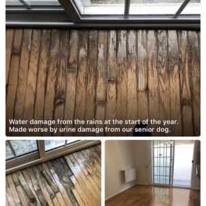 Photo of Water Damage Now