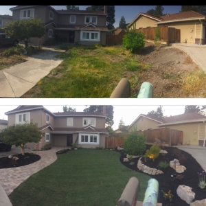 Photo of Landscape Dynamics