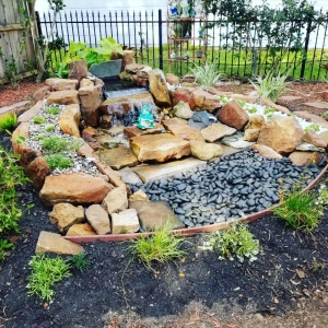 Photo of Fort Bend Backyard