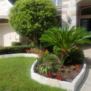 Photo of Fort Bend Backyard