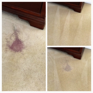 Photo of Pacific Steam Carpet Cleaning