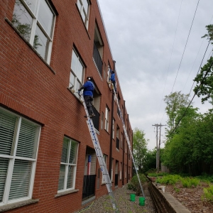 Photo of Starbrite Window Cleaning