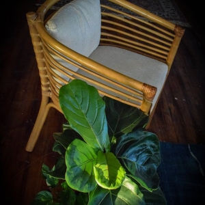 Photo of ADORN Vintage Furniture & Designs