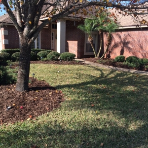 Photo of Island Lawn Pros