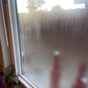 Photo of Next Level Glass