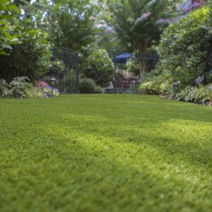Photo of Turf Tek USA