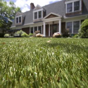 Photo of Turf Tek USA