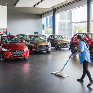 Photo of Cleaning Custodian