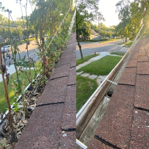 Photo of Lakeshore Gutter Cleaning