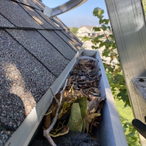 Photo of Lakeshore Gutter Cleaning
