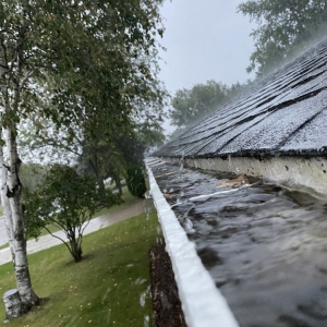 Photo of Lakeshore Gutter Cleaning