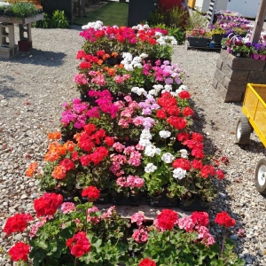Photo of Wright Landscape Supply And Market Place