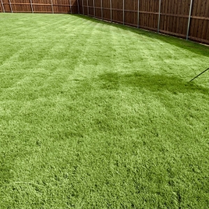 Photo of Carter's Lawn Care