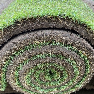Photo of Carter's Lawn Care