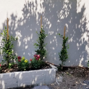 Photo of R & G Gardening Services & Landscaping