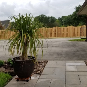 Photo of Texas Fence