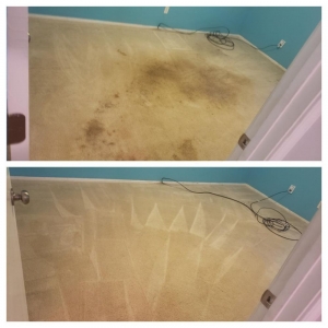 Overland Park Sandoval Carpet Cleaning