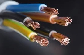Photo of Startech Electric