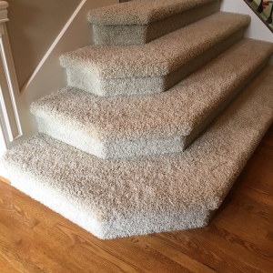 Noblesville Absolute Carpet Care & Repair