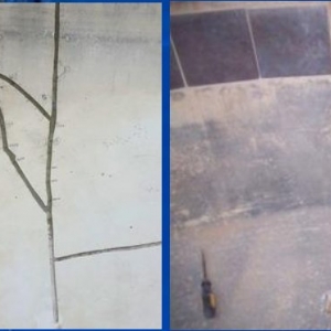 Photo of DTM Pool Service