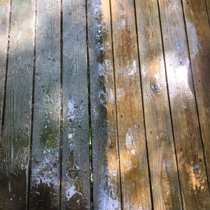 Photo of Superior Cleaning Service