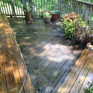 Photo of Superior Cleaning Service