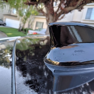 Photo of Savage Wraps