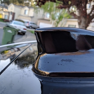 Photo of Savage Wraps