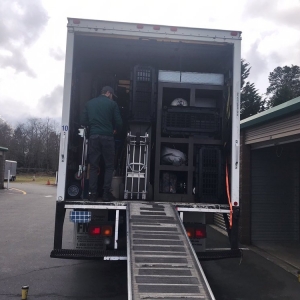 Photo of United States Movers