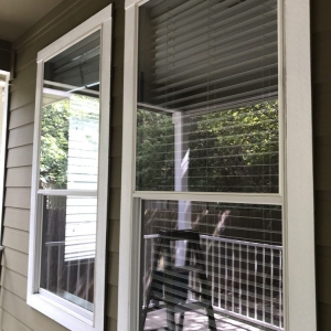 Photo of Clean Bee Window Cleaning