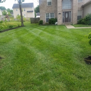 Nashville Pedro's Landscaping