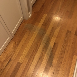 Photo of Midwest Hardwood Floors