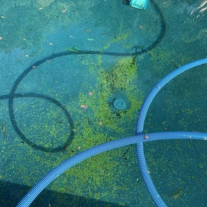Photo of Discount Pool Supply
