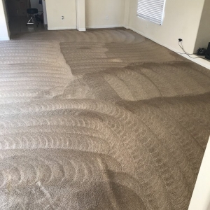 Photo of Eco Friend Carpet Clean