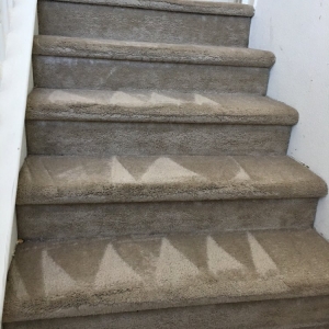 Photo of Eco Friend Carpet Clean