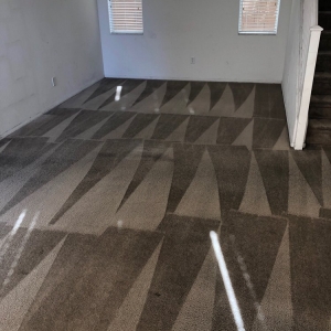 Photo of Eco Friend Carpet Clean