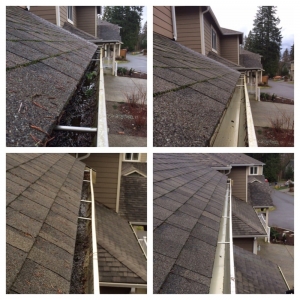 Photo of Squeegee Pros Window and Gutter