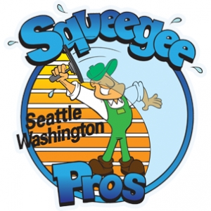 Photo of Squeegee Pros Window and Gutter
