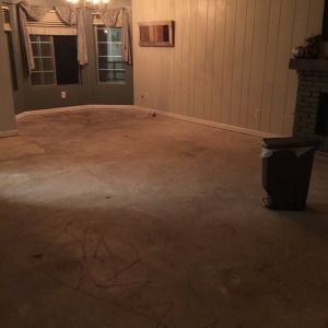 Photo of Water Damage Specialists & Rooter