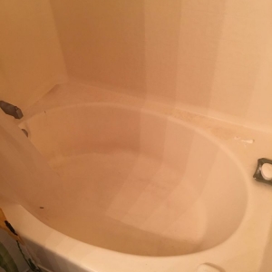 Charlotte Neat Freak Eco Friendly Cleaning Services