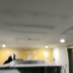Photo of Last Generation Painting
