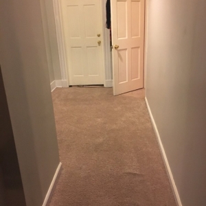 Photo of Carpet Cleaning Jersey City